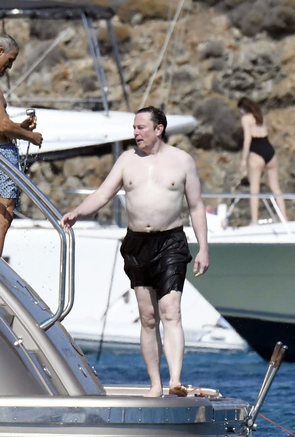 Whiny lil' bitch Musk lies about his Trans daughter